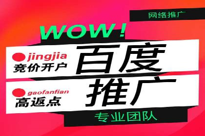 经典案例：专业SEM托管如何实现ROI最大化